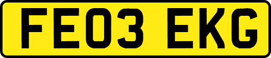 FE03EKG