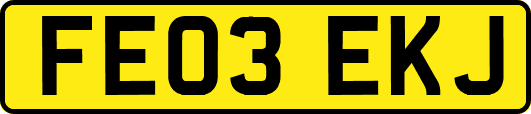 FE03EKJ