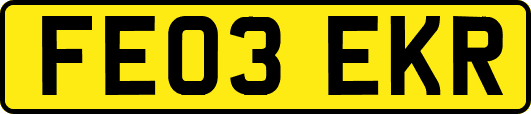FE03EKR