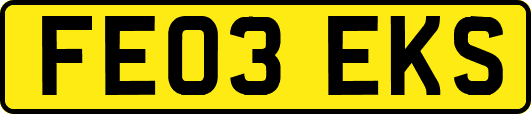 FE03EKS