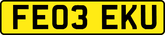 FE03EKU