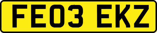 FE03EKZ