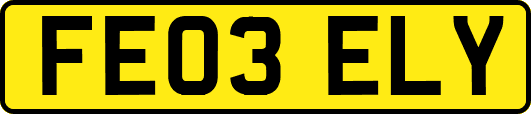 FE03ELY