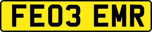 FE03EMR