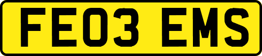 FE03EMS
