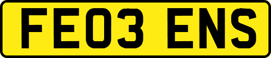 FE03ENS