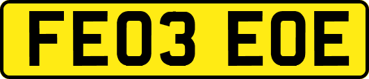 FE03EOE