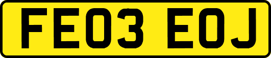 FE03EOJ