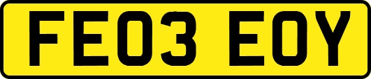 FE03EOY