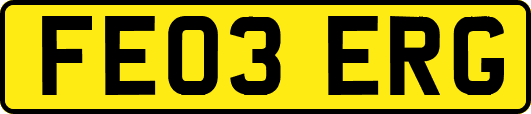 FE03ERG