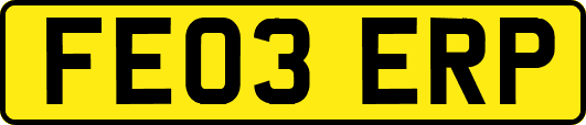 FE03ERP