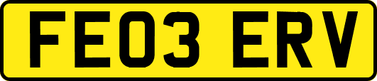 FE03ERV