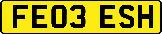 FE03ESH
