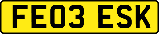FE03ESK