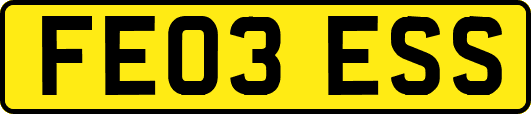 FE03ESS