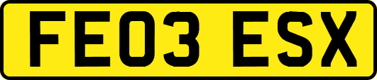 FE03ESX