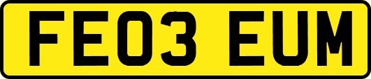FE03EUM
