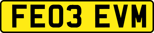 FE03EVM