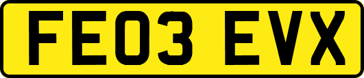 FE03EVX