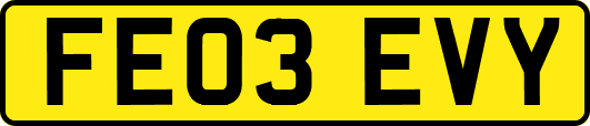 FE03EVY