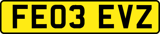 FE03EVZ