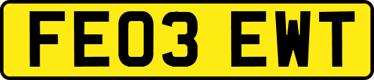 FE03EWT