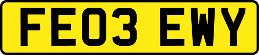 FE03EWY