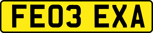 FE03EXA