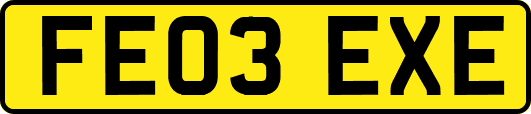 FE03EXE