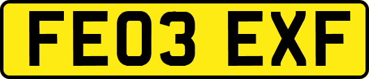 FE03EXF