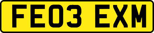 FE03EXM
