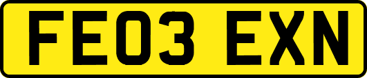 FE03EXN