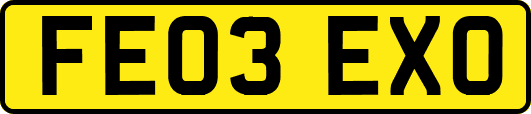 FE03EXO