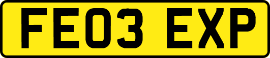 FE03EXP