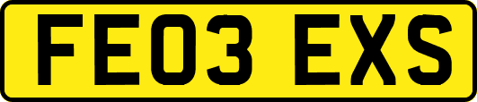 FE03EXS