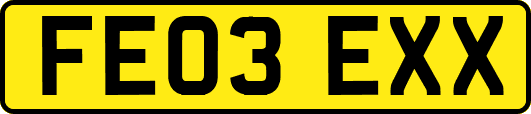FE03EXX