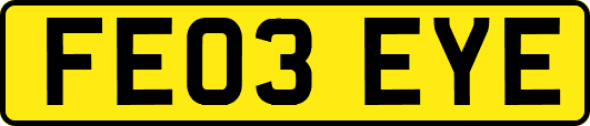 FE03EYE