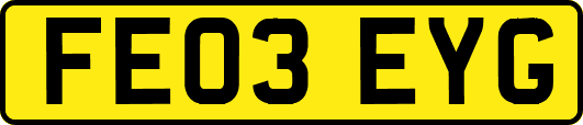FE03EYG