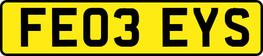 FE03EYS