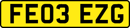 FE03EZG