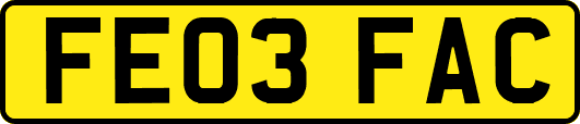 FE03FAC