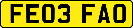 FE03FAO