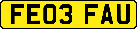 FE03FAU