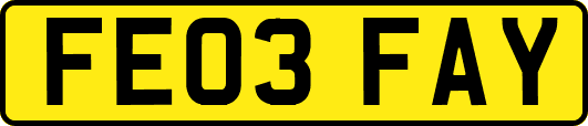 FE03FAY