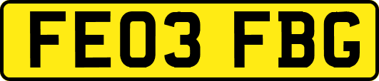 FE03FBG