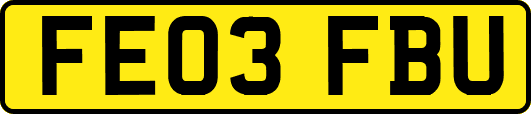 FE03FBU