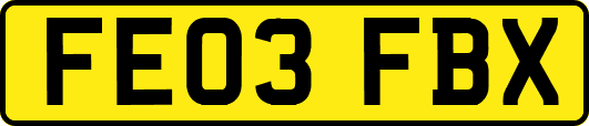 FE03FBX