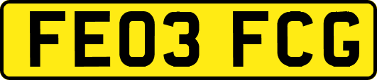 FE03FCG
