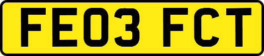 FE03FCT