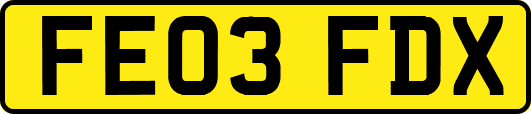 FE03FDX